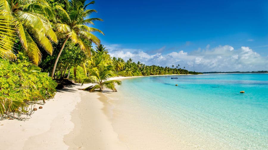Out of the woods and onto the beach...